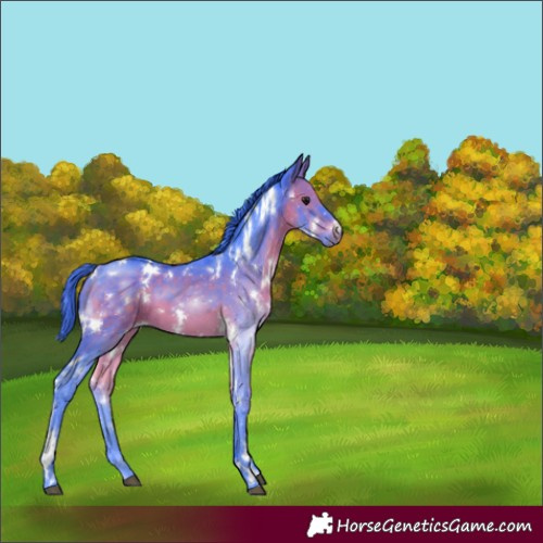 Horse Color:Watercolor White Spotted Brown 