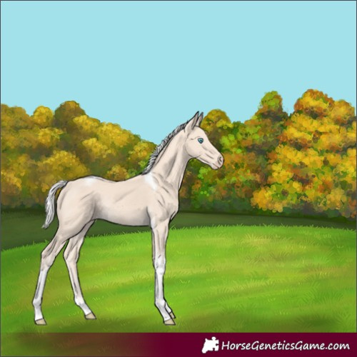 Horse Color:Silver Smoky Creme Tobiano Rabicano 