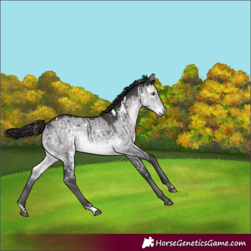 Horse Color:Platinum White Spotted Buckskin Dun Rabicano Brindle 