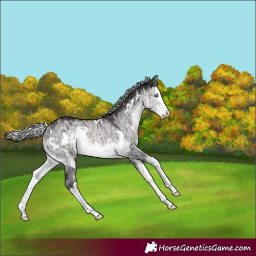 Horse Color:Platinum White Spotted Silver Buckskin Dun Splash Rabicano Brindle 