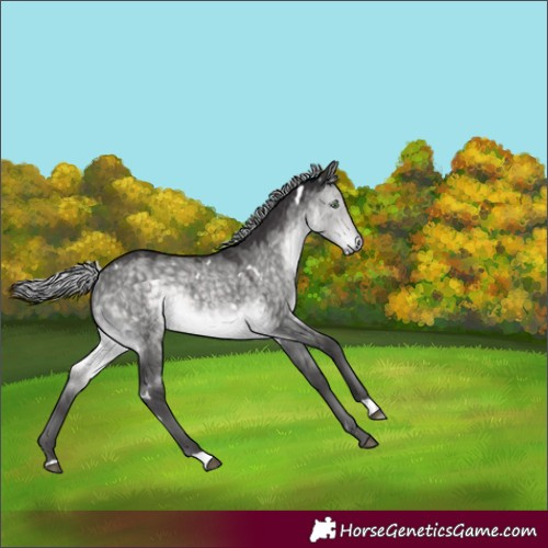 Horse Color:Platinum White Spotted Silver Buckskin Dun 
