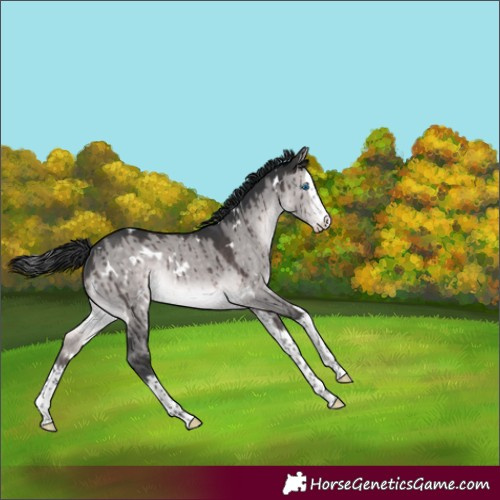 Horse Color:Platinum White Spotted Brown Dun Splash Brindle 