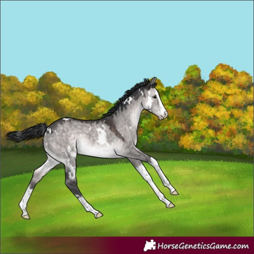 Horse Color:Platinum White Spotted Brown Dun Splash 