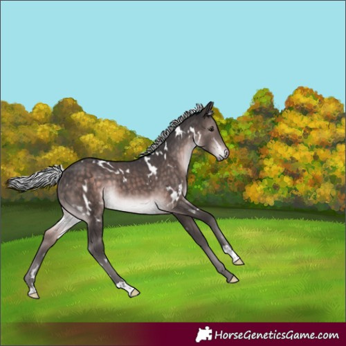 Horse Color:Platinum White Spotted Silver Brown Rabicano 