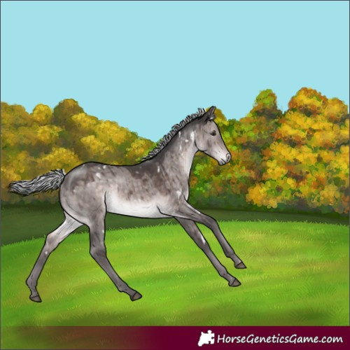 Horse Color:Platinum White Spotted Silver Brown Dun Rabicano Brindle 