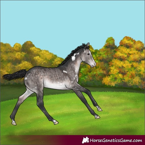 Horse Color:Platinum White Spotted Brown Dun Splash Brindle 