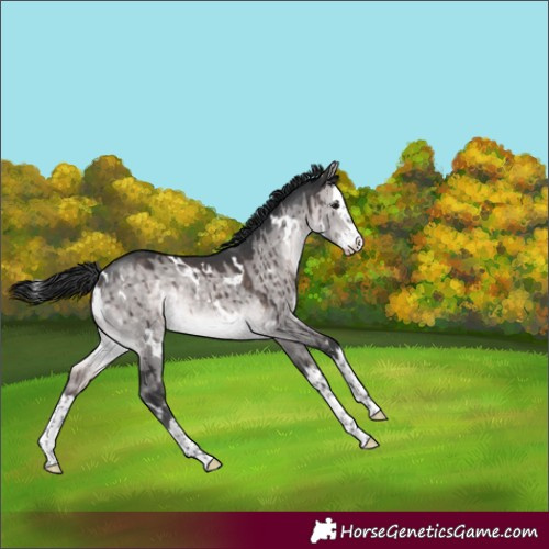 Horse Color:Platinum White Spotted Brown Dun Splash Brindle 