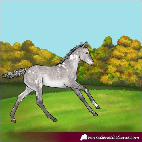 Horse Color:Platinum White Spotted Silver Brown Dun Rabicano Brindle 