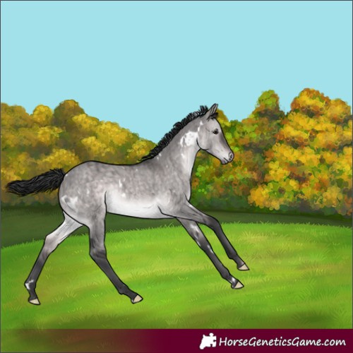 Horse Color:Platinum White Spotted Brown Dun Rabicano Brindle 