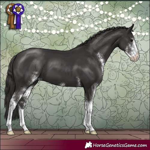 Horse Color:Smoky Black Sabino 