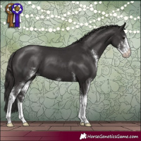 Horse Color:Smoky Black Sabino