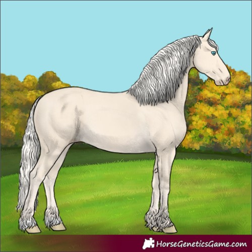 Horse Color:Cremello 