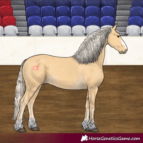 Horse Color:Palomino 