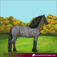 Horse Color:Blue Roan 