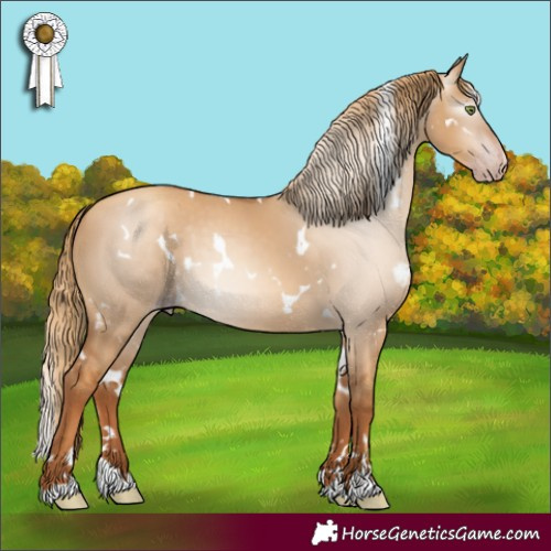Horse Color:Gray White Spotted Gold Champagne Dun 