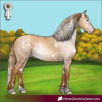 Horse Color:Gray White Spotted Gold Champagne Dun 