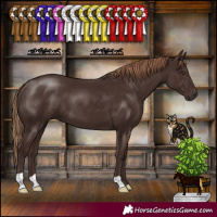 Horse Color:Liver Chestnut 