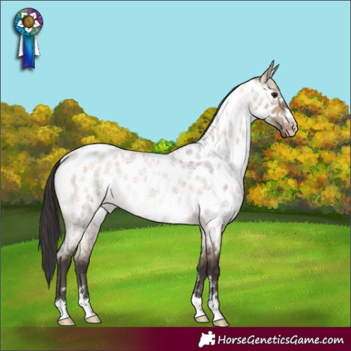Horse Color:Bay Roan Dun Appaloosa Rabicano 
