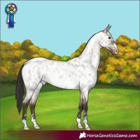 Horse Color:Bay Roan Dun Appaloosa Rabicano 