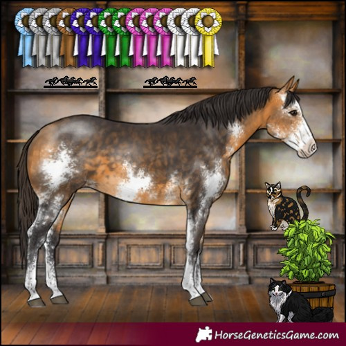 Horse Color:Buckskin Sabino 