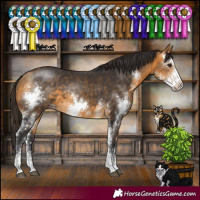 Horse Color:Buckskin Sabino 