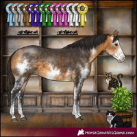 Horse Color:Buckskin Sabino