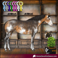 Horse Color:Buckskin Sabino