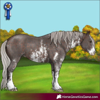Horse Color:Silver Brown Sabino 