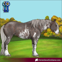 Horse Color:Silver Brown Sabino 