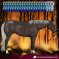 Horse Color:Silver Brown
