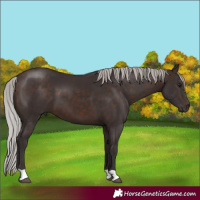 Horse Color:Silver Brown 