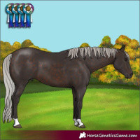 Horse Color:Silver Brown 