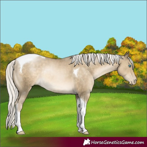 Horse Color:Silver Smoky Black Pearl Tobiano Rabicano 