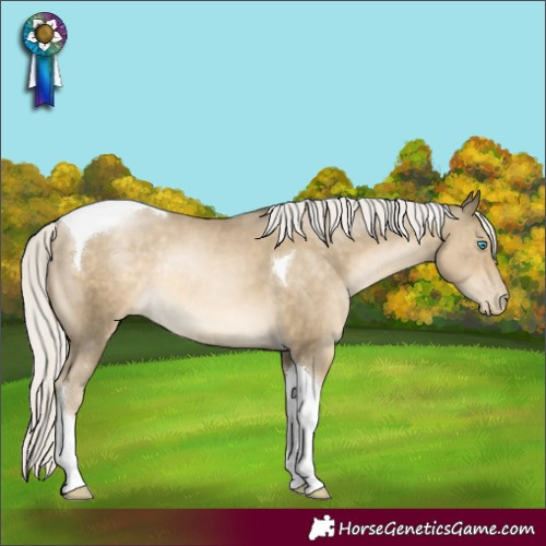 Horse Color:Silver Smoky Black Pearl Tobiano Rabicano 
