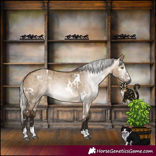 Horse Color:Gray White Spotted Silver Bay Dun Brindle 