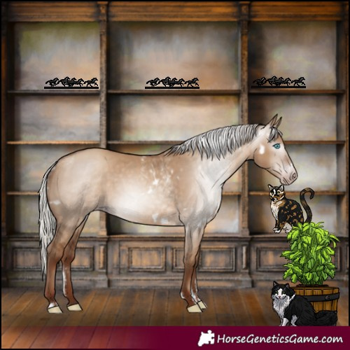Horse Color:Powder White Gray White Spotted Silver Classic Champagne Dun Frame 