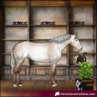 Horse Color:Powder White Gray White Spotted Silver Classic Champagne Dun Frame 