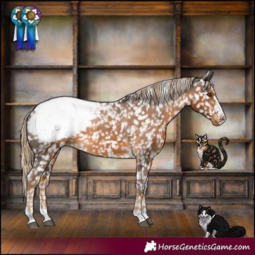 Horse Color:Chocolate Palomino Snowcap 