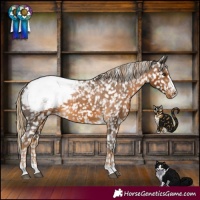 Horse Color:Chocolate Palomino Snowcap