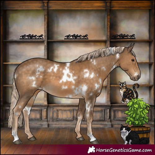 Horse Color:White Spotted Chocolate Palomino 