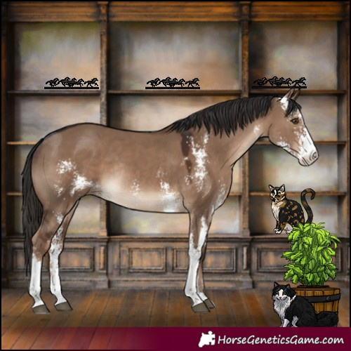 Horse Color:Liver Red Dun Sabino Rabicano 