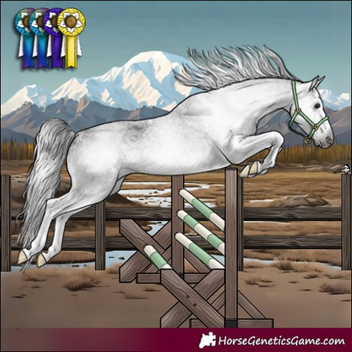 Horse Color:Gray White Spotted Brown 