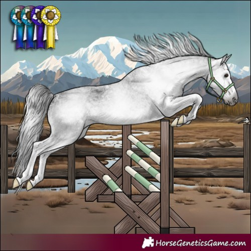 Horse Color:Gray White Spotted Brown 