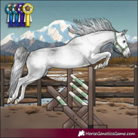 Horse Color:Gray White Spotted Brown