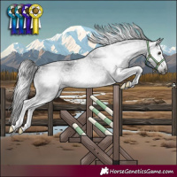 Horse Color:Gray White Spotted Brown 
