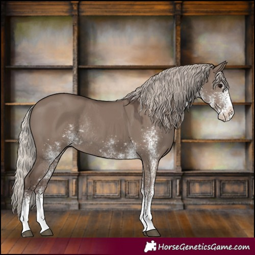 Horse Color:White Spotted Silver Grullo Rabicano 