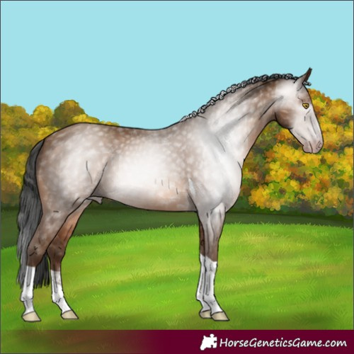 Horse Color:Gray Amber Champagne Tobiano 