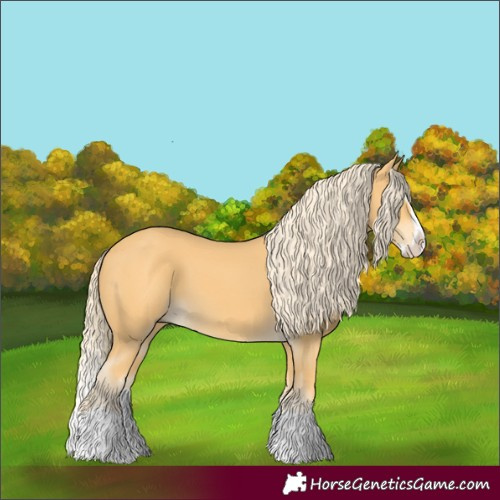 Horse Color:Palomino Splash 