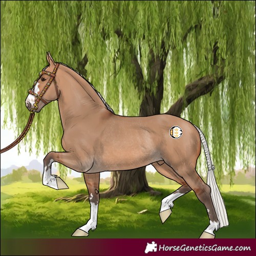 Horse Color:Silver Bay Dun Rabicano 