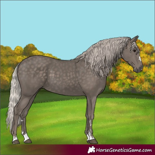 Horse Color:Silver Black 